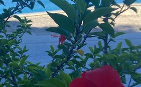 Vlore Apartment